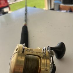 Shimano tiagra 12 2 speed fishing reel