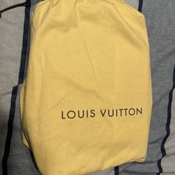 Louis Vuitton Bag Authentic 