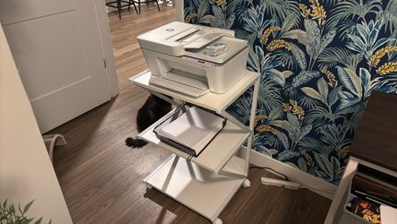 HP Printer and Printer Stand