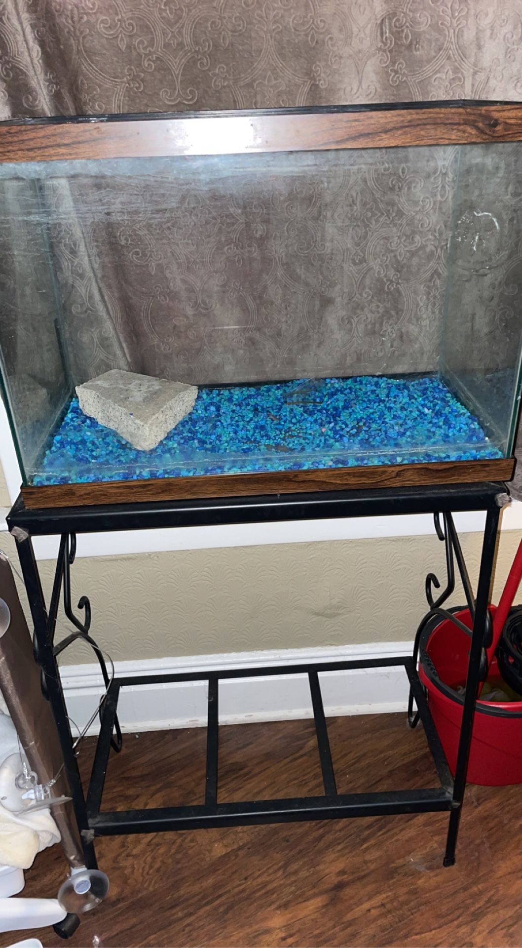 Fish Tank And Stand 