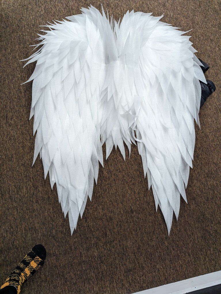 New white Angel Wings Large (Not Feather Kind)