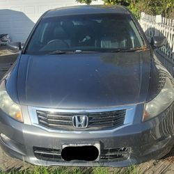 2008 Honda Accord