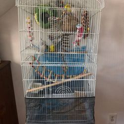 Bird Cage
