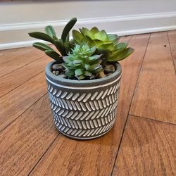 Small artificial succulent plant