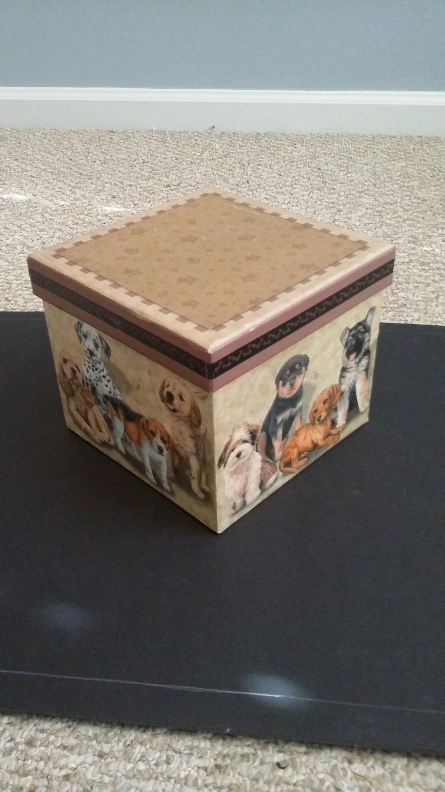 Jewelry Box/ Organizer with Puppies on it.