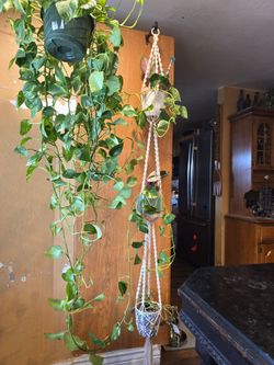 Vintage 1970s Style 3-Tier Macrame Plant Hanger - Authentic Tan Jute Boho Decor