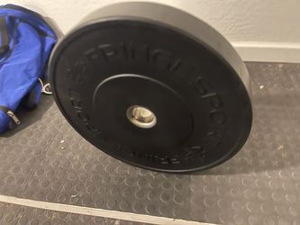 Olympic Weight Plates – Bumper Plates, Iron Plates & Fractional Plates (285+ lbs)