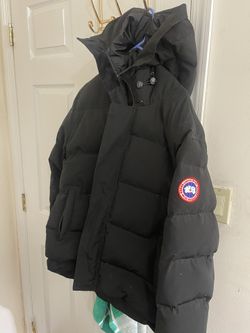 Canada Goose