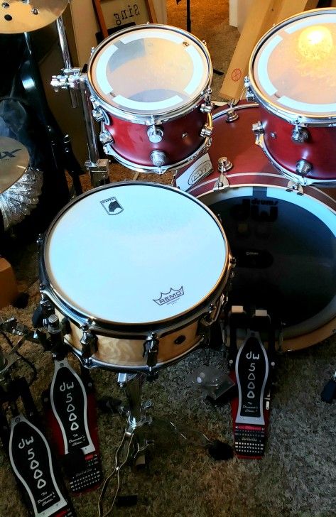 Mapex Black Panther Pegasus Snare Drum - 5.5 x 14 inch - Natural-Used less than 100 Hrs!