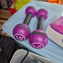 Zumba Weights 2.5# 