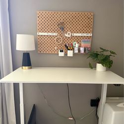 Electric Standing Desk - Flexispot