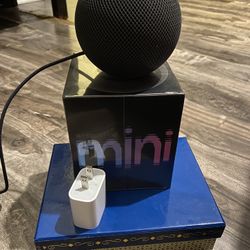 2 Apple HomePod minis 