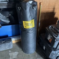 Everlast Heavy Punching Bag 