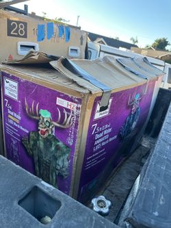 Halloween Decorations