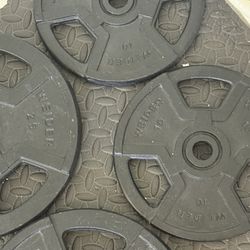 Weider Plate Weights 10lb & 25lb 