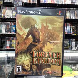 Forever Kingdom PS2