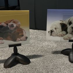 Michael Graves Photo Frames