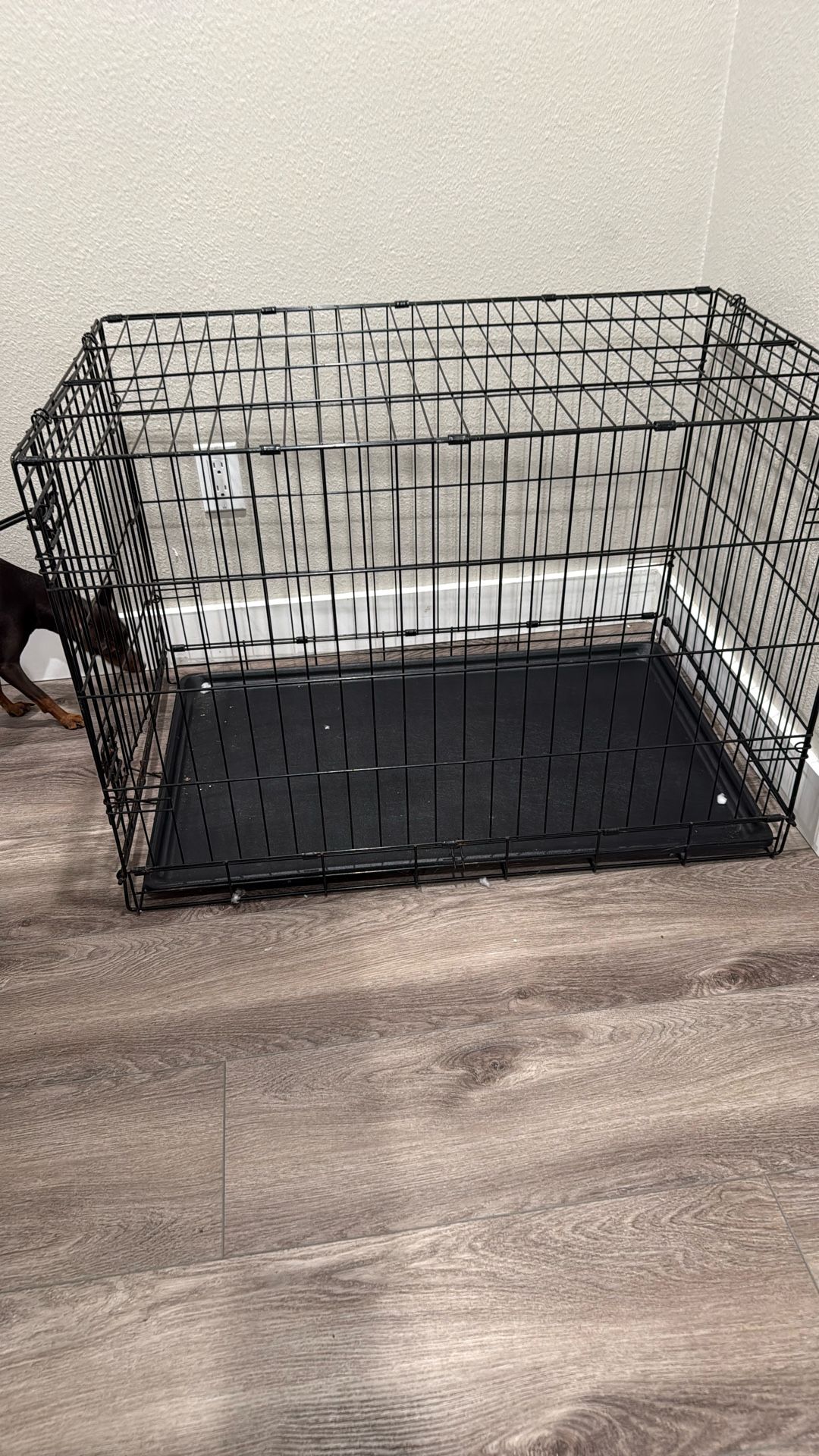 Large Dog  Kennel 