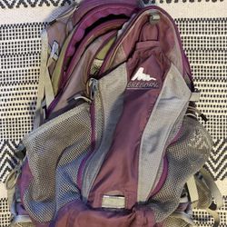 Gregory Hydration Day Pack 
