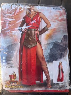 Warrior goddess costume