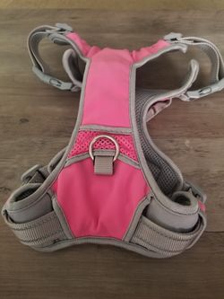 Dog Harness