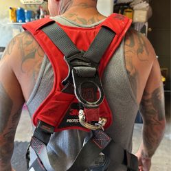 3M body harness