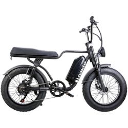 Nakto F2 Travel Bike 2 Seater