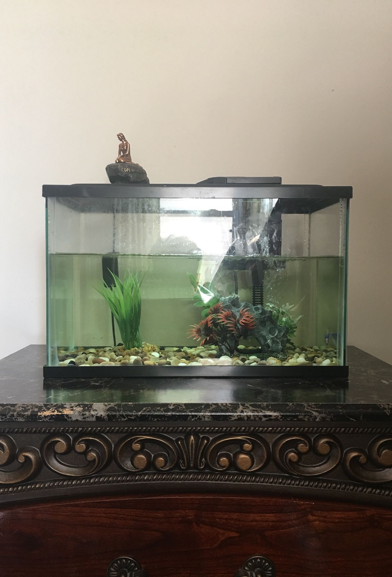 Aquarium with 2 beautiful fish and fish food and gorgeous stand with shelves.