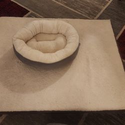 XLarge Dog Bed & Cat Bed