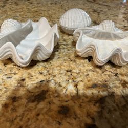 Sea Shells Made In Italy 
