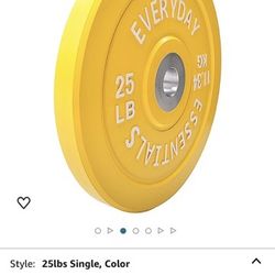 25lb Weight Plates and Bar