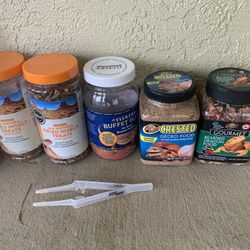 Reptile Beared Dragon Food
