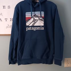 Patagonia Men's Line Logo Ridge Uprisal Hoody sweatshirt Crater Blue. Size SM.