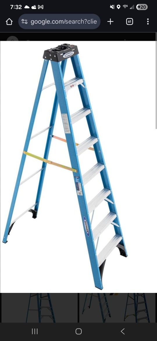 Werner 8 Foot Ladder 250 Lb Capacity