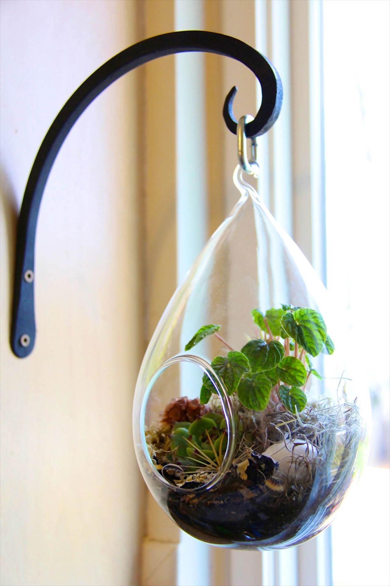 2 Good Quality Hanging Terrariums