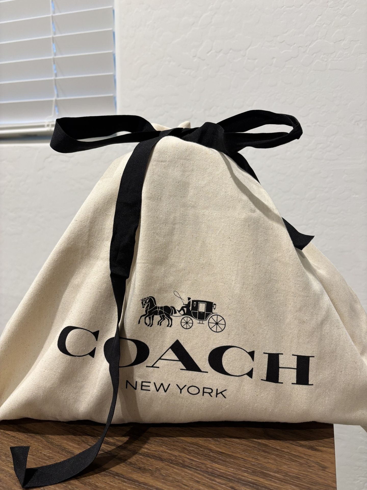 Coach Crossbody Bag