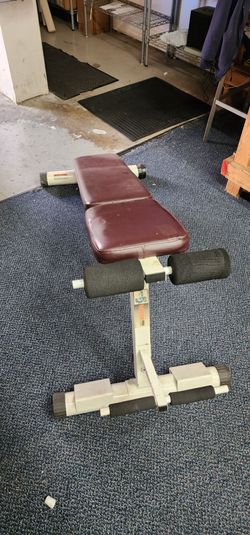 Free working Incline bench & Nordic Trek treadmill