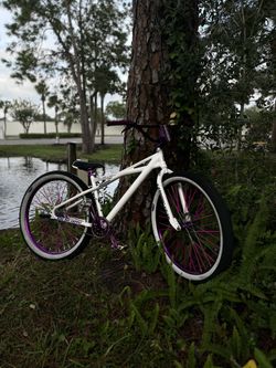 29 Inch Monster Quad Se