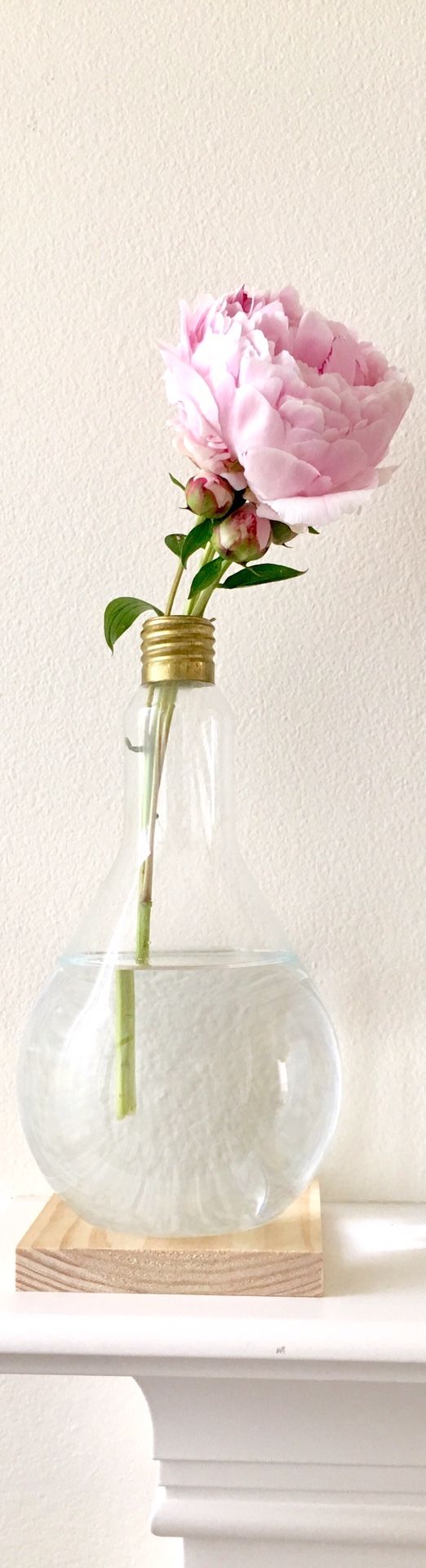 Giant eco friendly repurposed light bulb vase, upcycle flower vase, glass bud vase, upcycle home decor (not including the flower)
