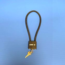 Cable Lock with Keys