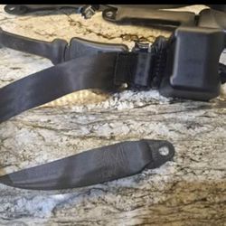 Can-am Seat Belts