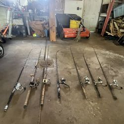 Assorted Rods And Reels
