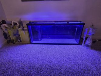 Fifty five gallon custom fish tank.