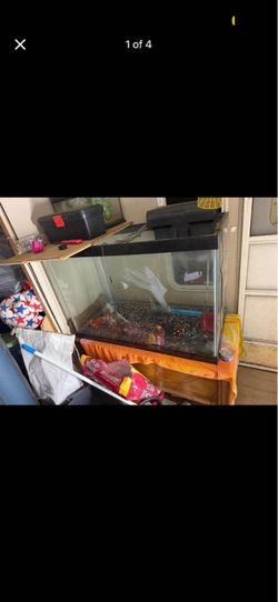 Fish tanks