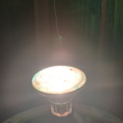 Halogen Light Bulb