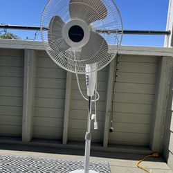 Fan For Sale