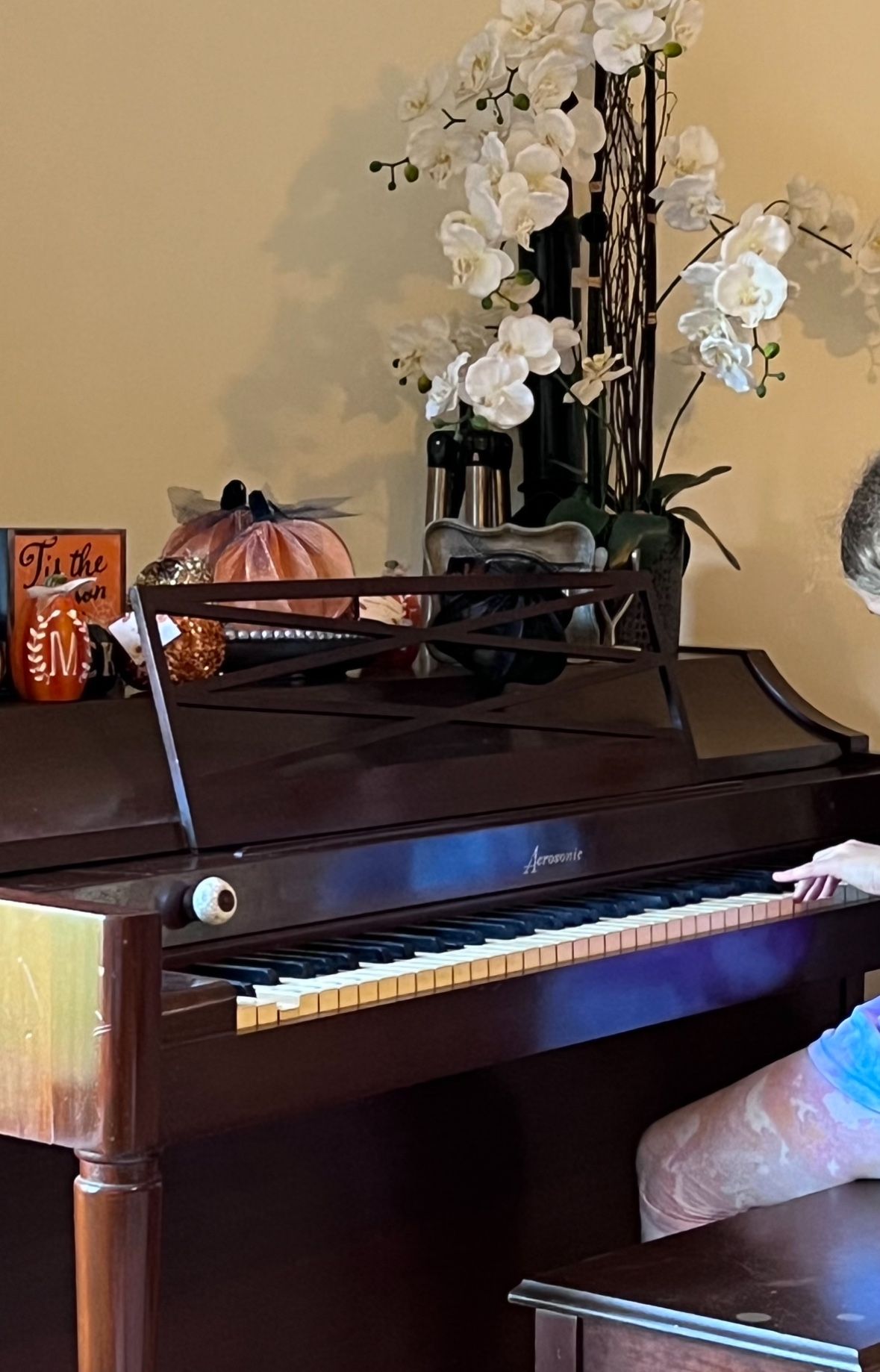 Rare Mid-Century Used Baldwin Acrosonic