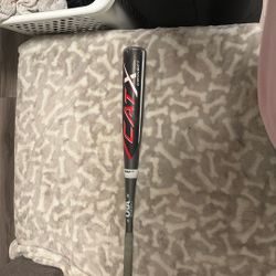 Marucci Cat X Size 31 -11 Baseball Bat