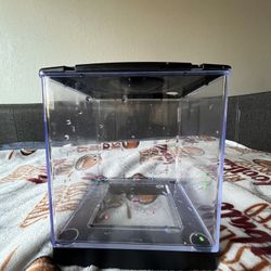 1 Gallon Fish Tank