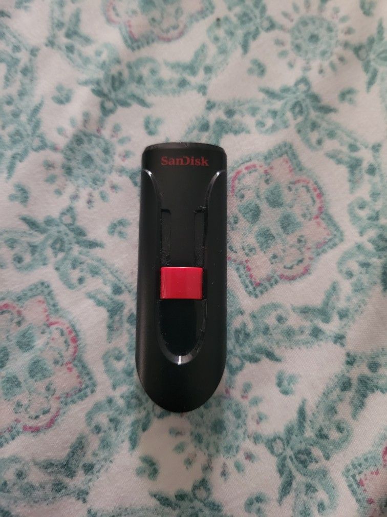 SanDisk Cruzer 64gb Flash Drive